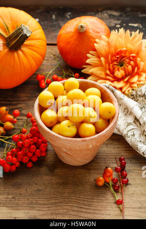 Topf mit gelben Pflaumen, Blumen und Kürbisse im Hintergrund Stockfoto