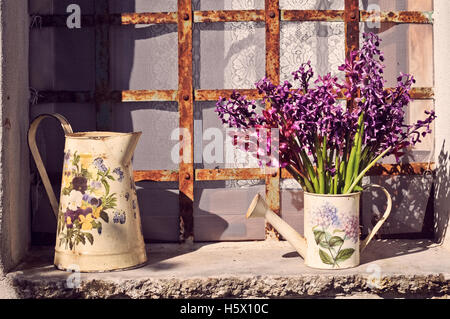 Lila Blüten In Gießkanne auf Fenster an sonnigen Tag Stockfoto