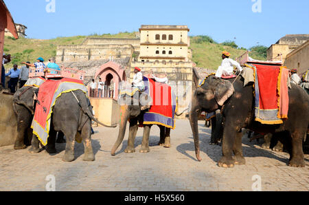 Elefant mit ihrer Fahrer mit PKW an Amer Fort in Jaipur, Rajasthan, Indien eingerichtet Stockfoto