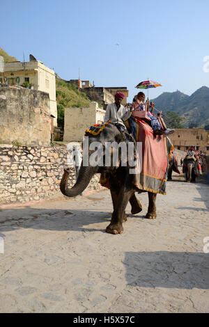 Elefant mit ihrer Fahrer mit PKW an Amer Fort in Jaipur, Rajasthan, Indien eingerichtet Stockfoto