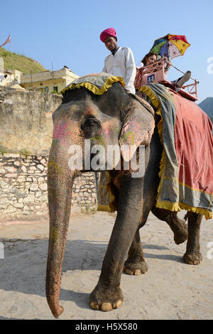 Elefant mit ihrer Fahrer mit PKW an Amer Fort in Jaipur, Rajasthan, Indien eingerichtet Stockfoto