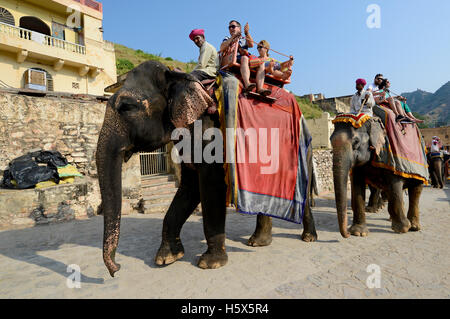 Elefant mit ihrer Fahrer mit PKW an Amer Fort in Jaipur, Rajasthan, Indien eingerichtet Stockfoto