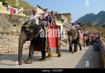 Elefant mit ihrer Fahrer mit PKW an Amer Fort in Jaipur, Rajasthan, Indien eingerichtet Stockfoto