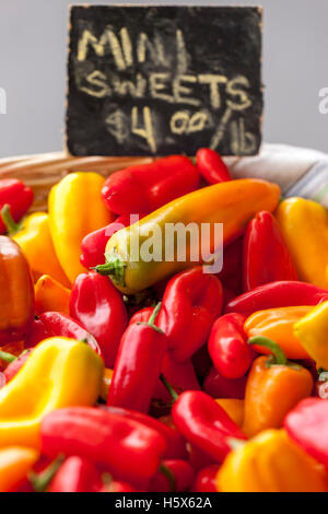 Mini süße Paprika auf dem Display an einem Markt sortiert. Stockfoto