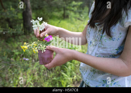 Frau sammelt Blumen im Wald Stockfoto