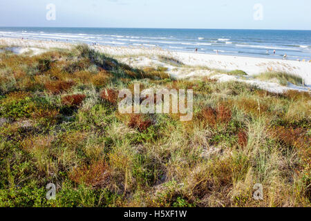 St. Saint Augustine Florida, Beacher's Lodge Oceanfront Suites, Promenade, Strand, Atlantischer Ozean, natürliche Dünen, FL160803074 Stockfoto