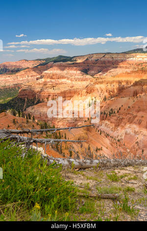 Cedar Breaks National Monument, Utah, an über 10.000 Fuß sitzt und schaut in eine halbe Meile tiefe geologische Amphitheater. Stockfoto