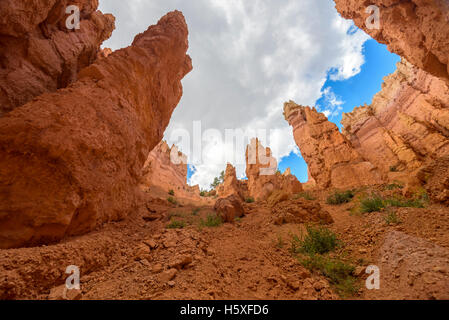 Malerische Ausblicke, Bryce-Canyon-Nationalpark, Wall Street, Utah, gelegen im Südwesten der Vereinigten Staaten. Stockfoto