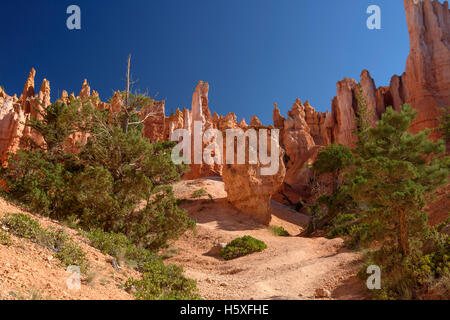 Wunderschöne Aussicht, Bryce-Canyon-Nationalpark, Utah, befindet sich im Südwesten der Vereinigten Staaten. Stockfoto