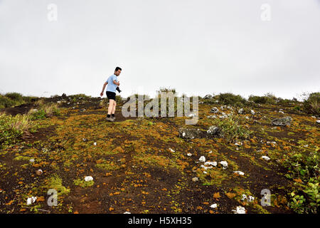 Der vulkanische Boden des Teufels Ashpit unterstützt viele Moose und Flechten. Das Hotel liegt im Südosten der Insel Ascension Stockfoto