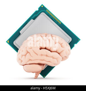 Mikroprozessor und menschliche Gehirn isoliert auf weißem Hintergrund. 3D illustration Stockfoto