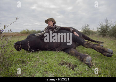 Landwirt liegen auf dem Rasen neben den Karpaten Wasserbüffel - diese Unterart Europäische wilde Wasserbüffel oder Wasserbüffel Stockfoto