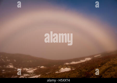 Das Berg-Phänomen der ein Fogbow erscheint in der Nähe Heron Hecht auf der Fairfield-Hufeisen-Wanderung im Lake District. Stockfoto