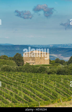 Panoramablick auf Val d ' Orcia von Montalcino, Toskana, Italien Stockfoto