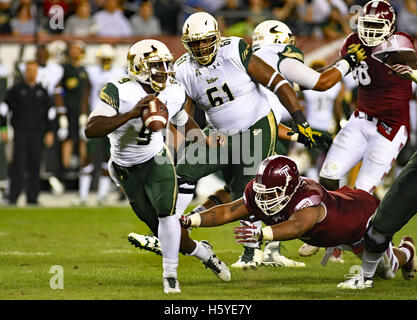 Philadelphia, Pennsylvania, USA. 21. Oktober 2016. USF QB, QUINTON Blumen in Aktion gegen Tempel während des Spiels am Lincoln Financial Field in Philadelphia Pa Credit: Ricky Fitchett/ZUMA Draht/Alamy Live News Stockfoto