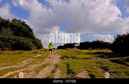 Ashdown Forest Sussex, UK. 22. Oktober 2016. Ein Läufer genießt das schöne Herbstwetter Sonnenschein in der Ashdown Forest Sussex heute Credit: Simon Dack/Alamy Live News Stockfoto