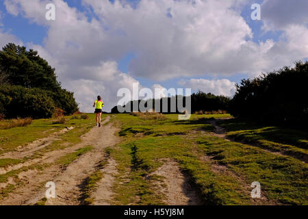 Ashdown Forest Sussex, UK. 22. Oktober 2016. Ein Läufer genießt das schöne Herbstwetter Sonnenschein in der Ashdown Forest Sussex heute Credit: Simon Dack/Alamy Live News Stockfoto