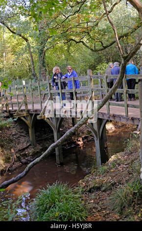 Ashdown Forest Sussex, UK. 22. Oktober 2016. Menschen spielen Puuh Stöcke auf der berühmten Pooh-Brücke genießen sie das schöne Herbstwetter Sonnenschein in der Ashdown Forest Sussex heute Credit: Simon Dack/Alamy Live News Stockfoto