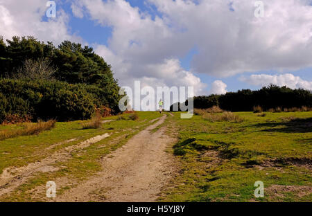 Ashdown Forest Sussex, UK. 22. Oktober 2016. Ein Läufer genießt das schöne Herbstwetter Sonnenschein in der Ashdown Forest Sussex heute Credit: Simon Dack/Alamy Live News Stockfoto