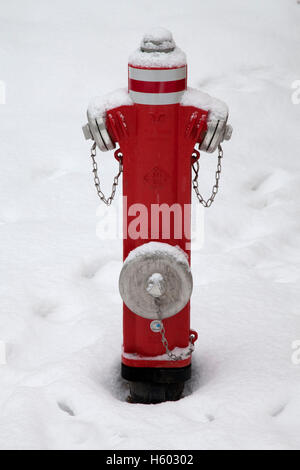 Hydrant, Feuer-Wasser-Versorgung, Fireplug, Schnee Stockfoto