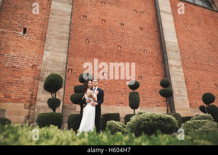 Stilvolle Loving Hochzeit paar küssen und umarmen im Park vor Hintergrund der großen Mauer Stockfoto