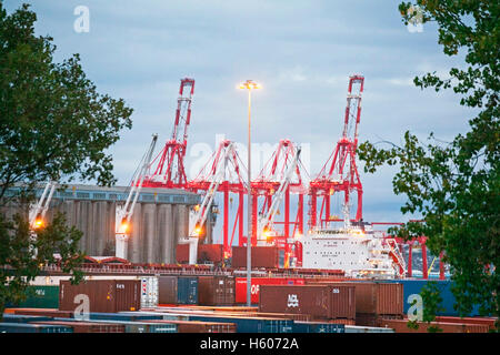 Chinesische Dockkräne und Containerhafen: Britische Exporte und Importe werden in Seaforth Docks, Liverpool2, Merseyside, Großbritannien entladen und geladen Stockfoto