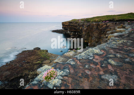 Muckross Kopf - Co.Donegal, Irland Stockfoto