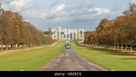 Herbst auf der Long Walk im Windsor Great Park mit Schloss im Hintergrund Stockfoto