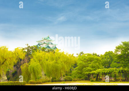 Einen schönen blauen Himmel Tag über Nagoya Castle Festung über einer grünen Baumgrenze in Japan Stockfoto