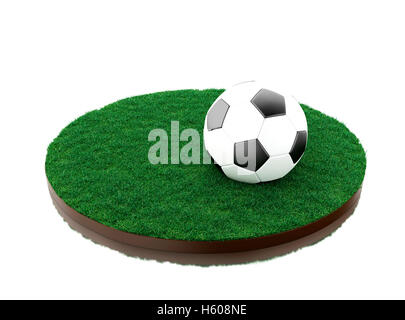 3D Renderer Bild. Fußball im Feld. Sport-Konzept. Isolierten weißen Hintergrund. Stockfoto
