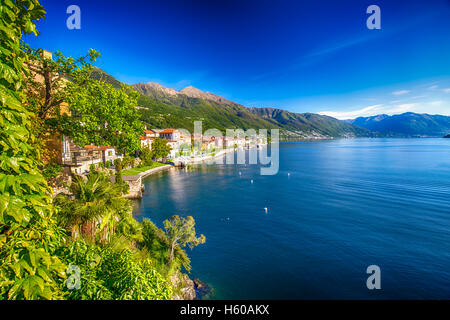 Sonnenaufgang in Cannero Riviera Village, Lago Maggiore, Verbania, Piemont, Italien Stockfoto