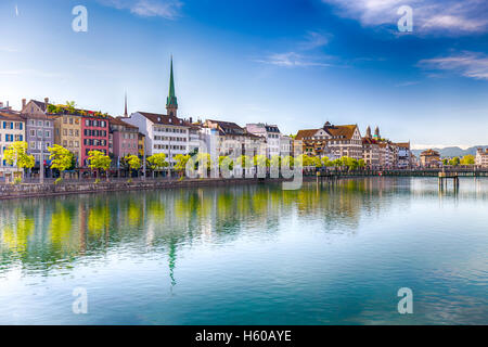 Historischen Zentrum von Zürich mit berühmten Fraumünster Kirche und Schwäne am Fluss Limmat an einem sonnigen Tag Stockfoto