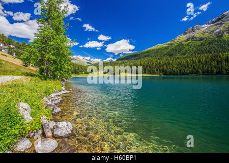 See-Sankt Moritz, St. Moritz (Deutsch - Sankt Moritz; Italienisch - San Maurizio) ist eine hohe Alpine Resort in den Schweizer Alpen Stockfoto