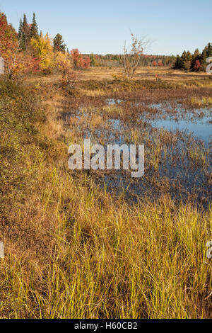 Die Aussicht auf den Fluss in der Nähe von Wild-Center in New York Adirondacks am Tupper Lake. Stockfoto