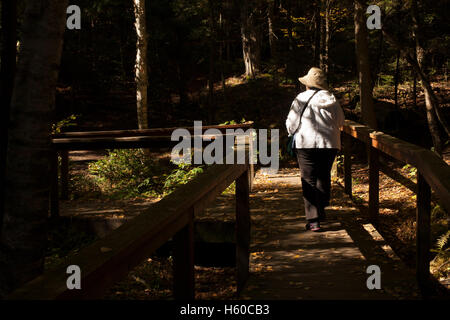 Ältere Frau Spaziergänge am Trail im Wild Center in New York Adirondacks am Tupper Lake. Stockfoto