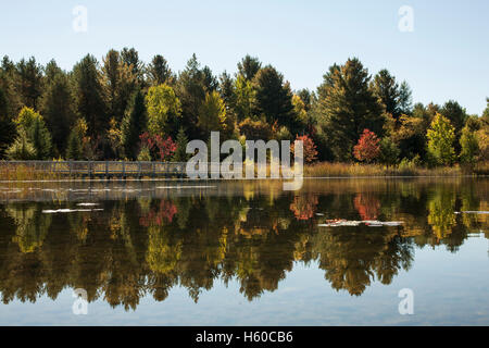 Der Blick auf die vom Menschen verursachten Forellenteich im Wild Center in New York Adirondacks am Tupper Lake. Stockfoto