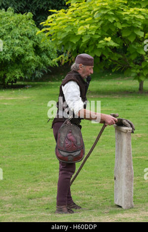 Falknerei-Vorführung am Berkeley Castle in Gloucestershire, England Stockfoto