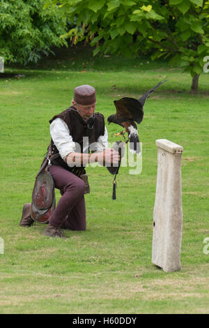 Falknerei-Vorführung am Berkeley Castle in Gloucestershire, England Stockfoto