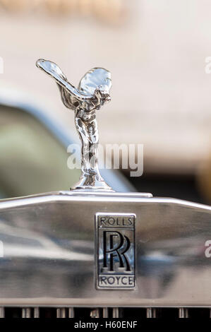 Close-up auf Spirit of Ecstasy auf einem Rolls Royce. Stockfoto