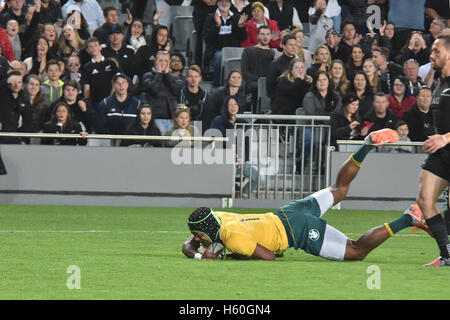 Auckland, Neuseeland. 22. Oktober 2016. Reece Hodge der Australia Wallabies erhält einen Versuch während der dritten Bledisloe Cup Testspiel gegen New Zealand All Blacks am 22. Oktober. All Blacks Niederlagen Wallabies 37-10. Bildnachweis: Shirley Kwok/Pacific Press/Alamy Live-Nachrichten Stockfoto