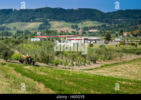 Autobahn von Rosignano Solvay nach Livorno, Livorno, Italien, Tankstelle Stockfoto