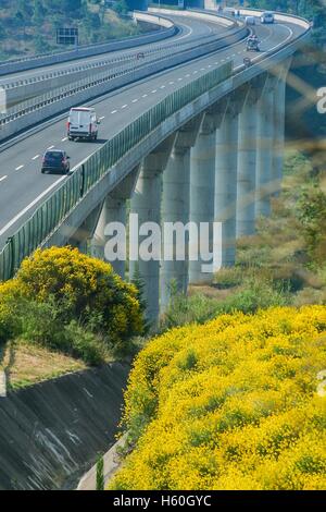 Autobahn von Rosignano Solvay nach Livorno, Livorno, Italien, Brücke über das Tal Stockfoto