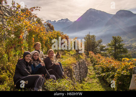 Pause während der Weinlese im Weingut Les Granges bei Nus & Fenis, Aostatal, Italien. Stockfoto