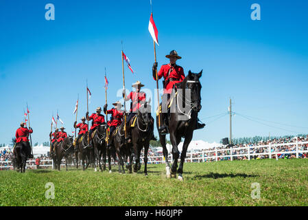Gruppe von RCMP Mounties während einer Zeremonie, musikalische Fahrt Stockfoto