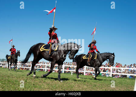 Gruppe von RCMP Mounties während einer Zeremonie, musikalische Fahrt Stockfoto