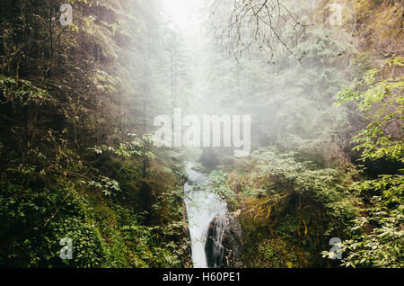 natürlicher Wasserfall am Bach im grünen Wald Stockfoto