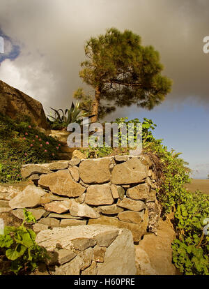 Treppe führt zum Strand von Klippen über dem Meer gemacht indigenen Naturstein, Baum im Hintergrund beugte sich vor dem Wind. Stockfoto