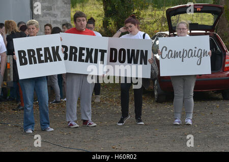 Demonstranten besuchen eine Anti-Brexit-Demonstration auf der Londonderry – Donegal Grenzübergang Bridgend, County Donegal Stockfoto