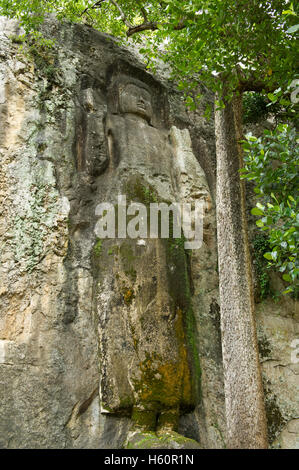 Dhowa Felsentempel, Ella, Sri Lanka Stockfoto