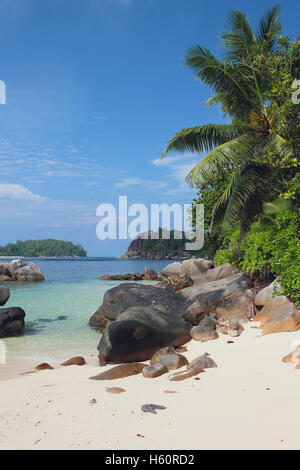 In der Golfregion Anse Islette. Hafen Glod, Mahe, Seychellen Stockfoto